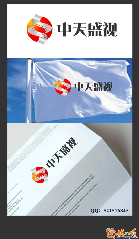 中天盛视文化发展(北京)有限公司征求logo标